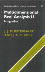 Multidimensional real analysis II: integration