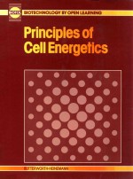 Priciples of cell energetics