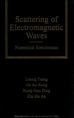 Scattering of electromagnetic waves : numerical simulations