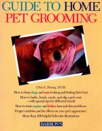 Guide to Home Pet Grooming