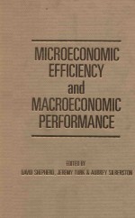 Microeconomic efficiency and macroeconomic performance