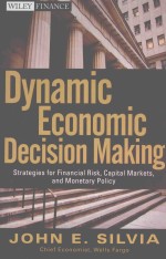 DYNAMIC ECONOMIC DECISION MAKING:STRATEGIES FOR FINANCIAL RISK