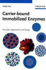 Carrier-bound immobilized enzymes principles