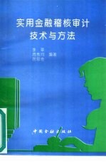 实用金融稽核审计技术与方法