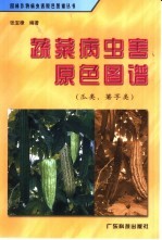 蔬菜病虫害原色图谱 瓜类、薯芋类