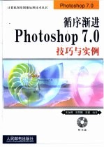 循序渐进Photoshop 7.0技巧与实例