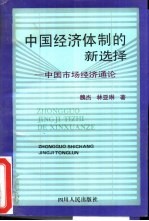 中国经济体制的新选择  中国市场经济通论