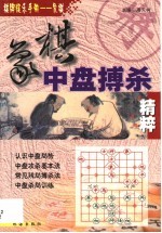 象棋中盘搏杀精粹