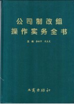 公司制改组操作实务全书 如何建立现代企业制度