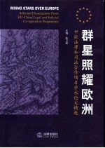 群星照耀欧洲 中欧法律和司法合作项目学术论文精选 中英文本