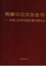 刑事诉讼实务全书 中华人民共和国刑事法律大全