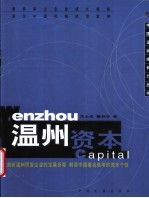 温州资本 剖析温州民营企业的发展历程 解读中国著名商埠的资本个性