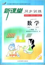 新课堂同步训练 数学 一年级 下