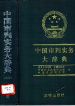 中国审判实务大辞典