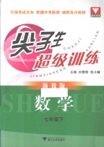 尖子生超级训练 数学 七年级 下 浙教版