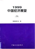 1999年中国经济展望 下