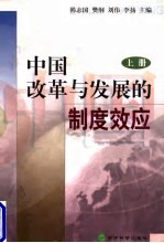 中国改革与发展的制度效应 上