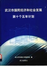 武汉市国民经济和社会发展第十个五年计划