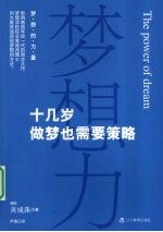 梦想力 十几岁做梦也需要策略