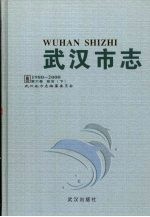 武汉市志 1980-2000 第6卷