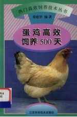 蛋鸡高效饲养500天