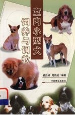 室内小型犬饲养与调教