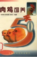 肉鸡饲养50天