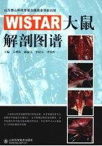 WISTAR大鼠解剖图谱