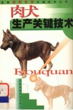 肉犬生产关键技术