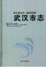 武汉市志 1980-2000 第2卷