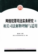 网络犯罪司法实务研究及相关司法解释理解与适用