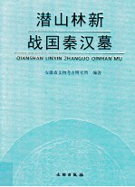 潜山林新战国秦汉墓