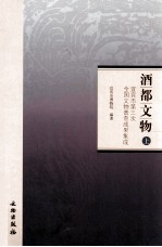 酒都文物 宜宾市第三次全国文物普查成果集成 上