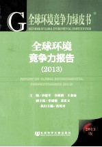 全球环境竞争力报告  2013