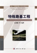 岩土工程国家重点学科专著系列 特殊路基工程