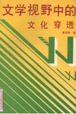 文学视野中的文化穿透