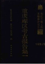 重庆库区考古报告集  1998卷