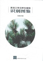 黑龙江常见野生植物识别图鉴