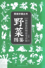 野菜图鉴