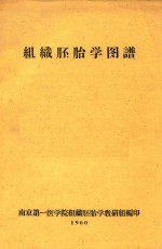 组织胚胎学图谱