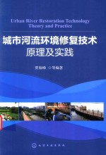 城市河流环境修复技术原理及实践