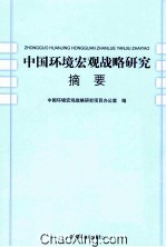 中国环境宏观战略研究摘要