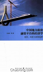 中国地方政府融资平台的经济学  效率、风险与政策选择