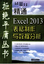 精通Excel 2013表格制作与数据分析