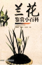 兰花鉴赏小百科