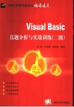 Visual Basic真题分析与实战训练 二级