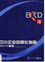 中小企业信息化指南 BKD123教程