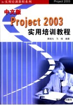 中文版Project 2003实用培训教程