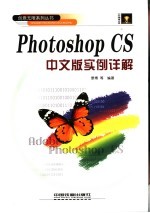 Photoshop CS中文版实例详解