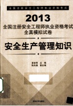 2013全国注册安全工程师执业资格考试全真模拟试卷 安全生产管理知识